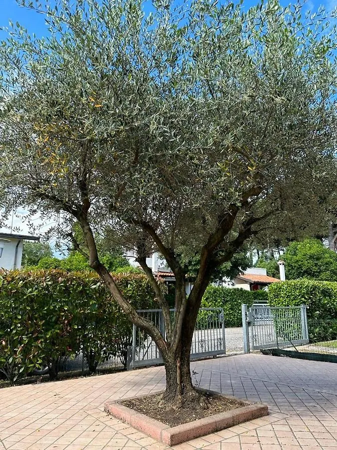 Holiday home Casa Licanio Bibione Italy